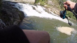 ДУРНАЯ РЫБАЛКА ДРОП ШОТ НА ЖИВЦА КАРАСЬ НА ПИКЕР