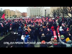 Митинг в Питере 28.01.18