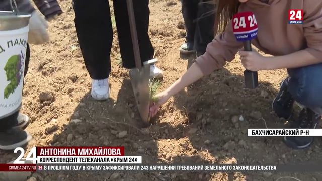 В память о героях Великой Отечественной войны крымчане высадили пять тысяч молодых деревьев