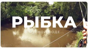 Рыбка в мутной воде. И снова разведка...#нахлыст #рыбалка2024