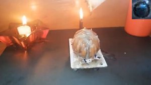 СИЛЬНАЯ ОНЛАЙН РАССОРКА НА ЯЙЦО.  РАЗРУШИТ ЛЮБЫЕ ОТНОШЕНИЯ #РАЗРЫВ ОТНОШЕНИЙ#