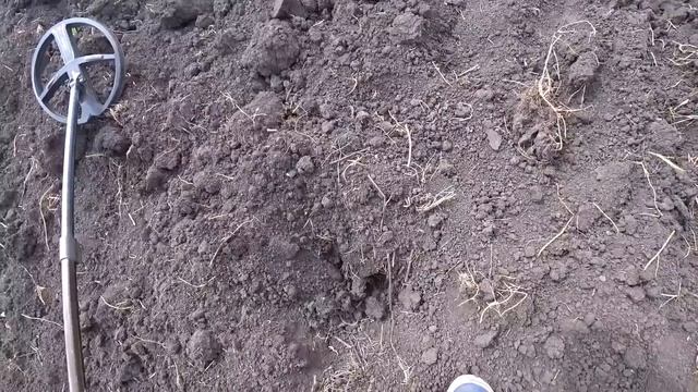 ТРАКТОРИСТ ПОКАЗАЛ ГДЕ ЗАКОПАЛИ КЛАД! смотреть онлайн