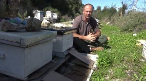 важно новичку часть 2. пчеловодство.