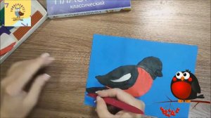 СНЕГИРЬ В ТЕХНИКЕ ПЛАСТИЛИНОГРАФИЯ