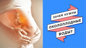 Околоплодные воды | Зачем они нужны?