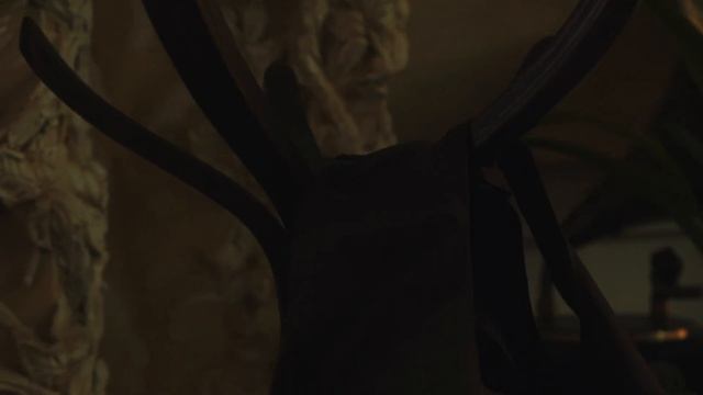 Один из лучших ресторанов Ростова «Охотник» возобновил свою работу смотреть онлайн