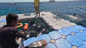 Египет 2024. Как ТУТ СЕЙЧАС⁉️Island View Resort 5*. РИФ и ПЛЯЖ в бухте ШАРКС Бей. Шарм Эль Шейх