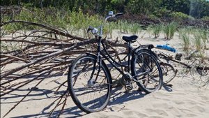 Как мы провели Лето 2023.