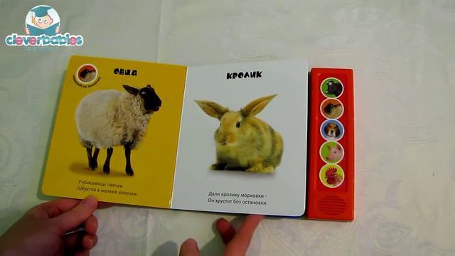 Азбукварик. Ферма. Видео-обзор смотреть онлайн