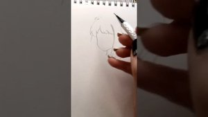 Рисунки + истории из ТикТока #12