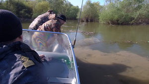 В Азово-Черноморском управлении "Росрыболовство" подвели итоги ограничения ловли нерестящейся рыбы