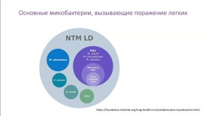 Легочный туберкулез и микобактериоз — различия в подходах к диагностике и лечению