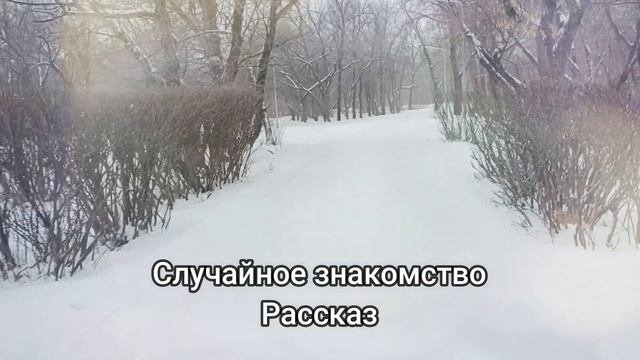 Случайное знакомство - рассказ | интересные истории. | Слушать рассказы