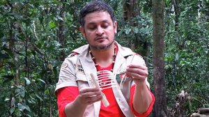 Экстремальная кухня на Амазонке