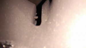Принцип работы турбины с изменяемой геометрией на BMW Diesel