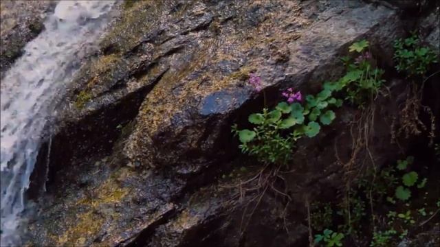 Я полюблю тебя еще сильней. Стихи Ирины Фетисовой (Mullerson). Музыка и исполнение Марка Фуксова смотреть онлайн