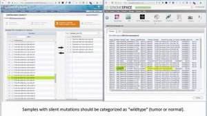 Create a CLS file using the list of ERCC2-mutated samples