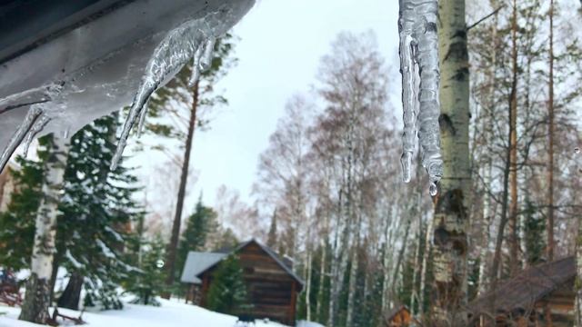 Белокуриха 2 и пивоварня Братчина смотреть онлайн