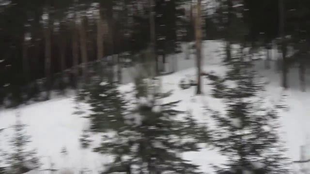 Елка,лавка,кормушка,игрушка,лес,зима,тропа смотреть онлайн