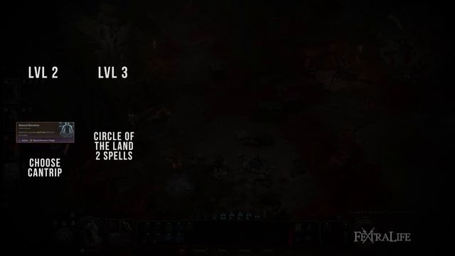 Baldur's Gate 3 Druid Guide - All Subclasses (Circle of the Land, Moon, Spores) смотреть онлайн