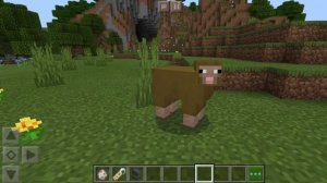 Как сделать цветную овечку в Майнкрафт