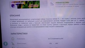 Огурцы "САНЬКИНА ЛЮБОВЬ F1".   Буду Выращивать в 2021г .  Мои Любимые сорта ОГУРЦОВ  27 января 2021
