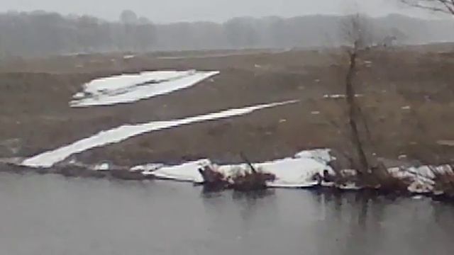 ЧУТЬ НЕ ЗАМЁРЗЛИ смотреть онлайн