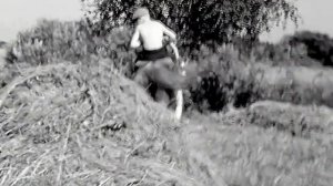 1967 год. Исетский район. Летняя страда