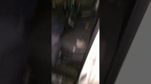 Заводим Peugeot Boxer после двух недель простоя на морозе