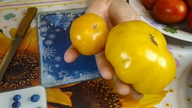 Коллекционный сорт -  Диковинный цветок жёлтый .