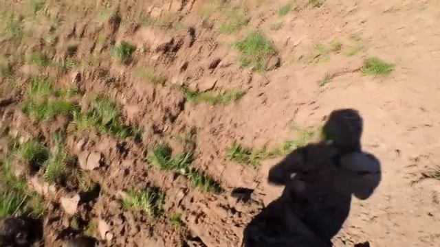 ?Подпол в нашем доме\\?Черемуха цветет\\?Стрижка кур смотреть онлайн