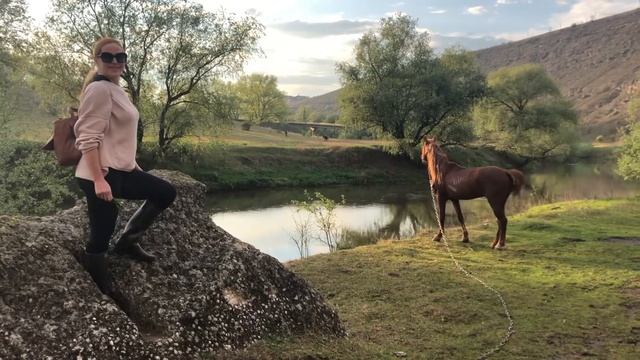 Как кричит жеребец когда видит девочку смотреть онлайн