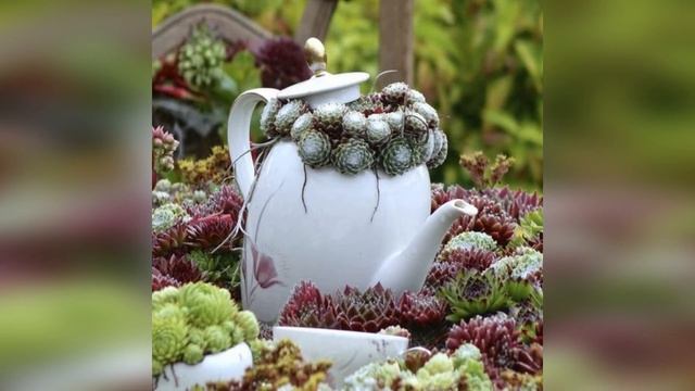 Украшаем сад суккулентами/ Идеи для сада и дачи/Decorate the yard with succulents смотреть онлайн