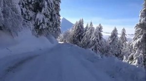 ЗИМНЯЯ РЕЗИНА Плюсы Шипованой резины