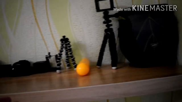 Nikon D3500 смотреть онлайн