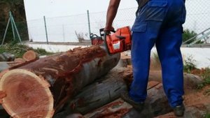 Бензопила HUSQVARNA 395 класса Premium XP®