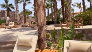 Fort Arabesque Resort, Spa & Villas. Makadi Bay. Море, рыбки и красивые моменты отдыха.
