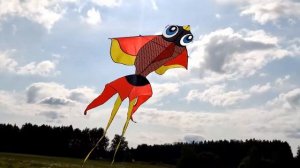 Гигантский, 6-и метровый воздушный змей