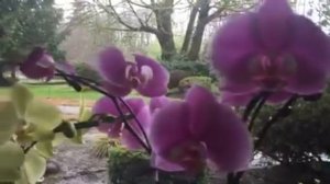 Ирина Круг и Михаил Брянцев "День Рождение"