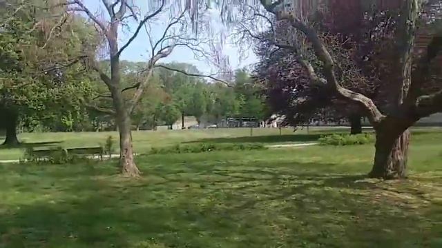 Парк в Виттенберге! смотреть онлайн