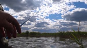 Рыбалка на озере, Алтайский край озеро Горькое