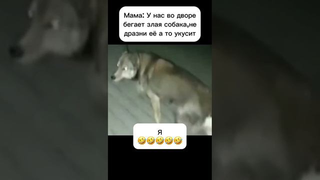 Хахаха 😂😂🤣