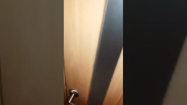 Установка дверей в Новосибирске, что получилось