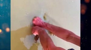 Парень заметил ЛАПЫ торчащие из трубы и не раздумывая прыгнул в воду