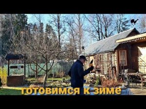 Готовимся к зиме.Укрыли розы, ежевику, все убираем.