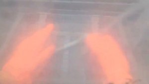 Тестируем для заказчика камерные перчатки «Курс»