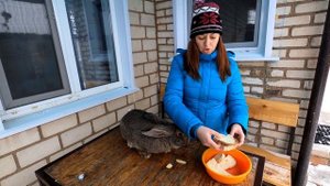 Хлеб ? кроликам! Можно ли давать и сколько?