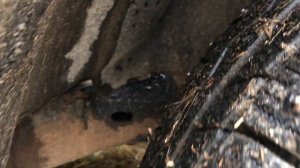 SsangYong Actyon Sports