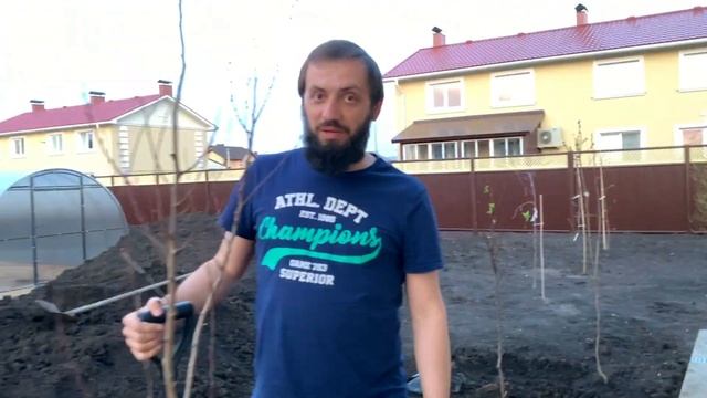 КАК ПОСАДИТЬ АБРИКОС, ЧТОБЫ ОН ПЛОДОНОСИЛ ? смотреть онлайн