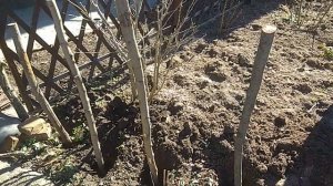 Декоративный забор (тын) в огороде своими руками.